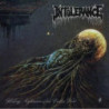 INTOLERANCE - Waking Nightmares Of An Endless Void - CD [Death Metal - Esp] - Boitier cristal