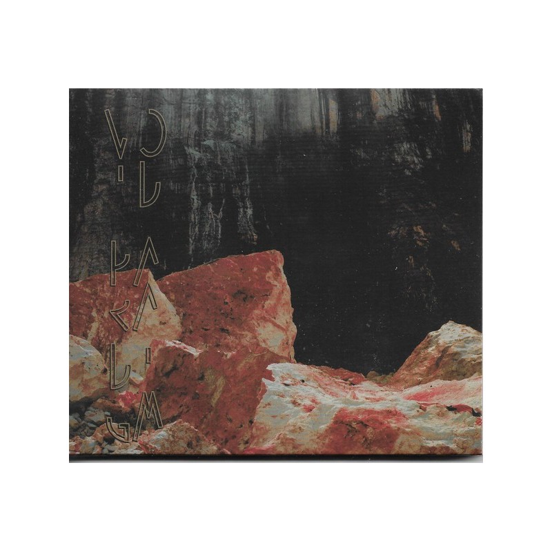 VOID PARADIGM _ Ultime Pulsation | Demain Brûle [Avantgarde Black Metal, Fra] CD Digipack