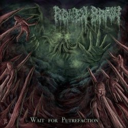 ROTTEN BRAIN _ Wait For Putrefaction _ CD Jewel Case