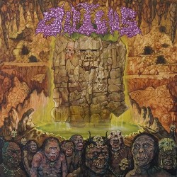 DIPYGUS _ Dipygus _ CD Jewel Case