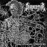 DESEKRYPTOR _ Sarcophagal Corridors _ Vinyl 7"