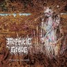 MEPHITIC GRAVE _ Dreadful Seizures [Death Metal, Hon] _ CD