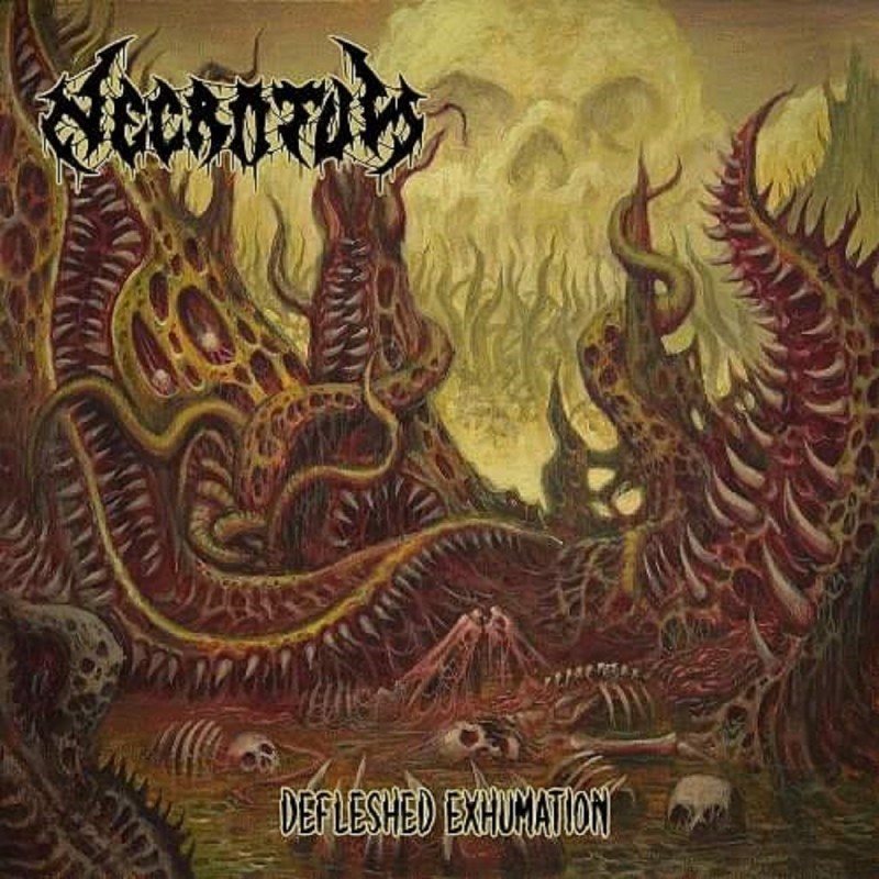 NECROTUM _ Defleshed Exhumation _ CD