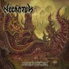 NECROTUM _ Defleshed Exhumation _ CD
