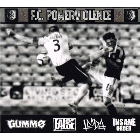 GUMO / FALSE / LMDA / INSANE ORDER _ F.C. Powerviolence _ LP