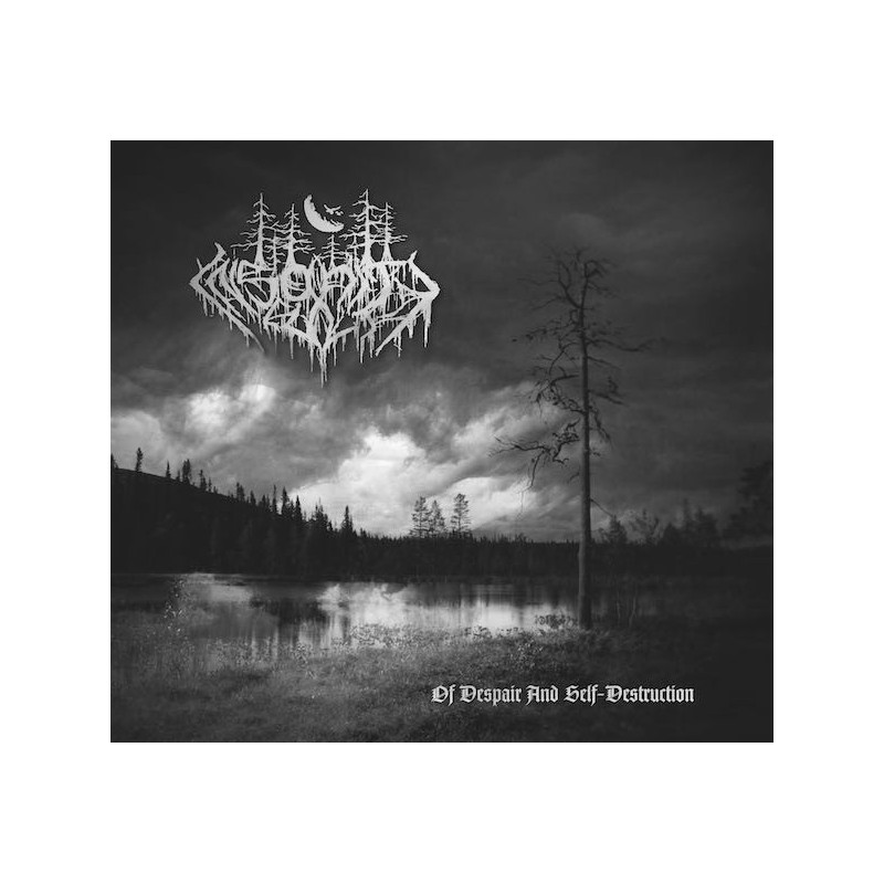 INSANITY CULT _ Of Despair And Self-Destruction _ CDDIGI
