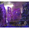 DEAD SOULS RISING _ Ars Magica [Dark Goth Rock, Fra] _ CD