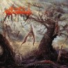 PHLEBOTOMIZED _ Clouds Of Confusion [Progressive Doom Death Metal, P-B] _ LP