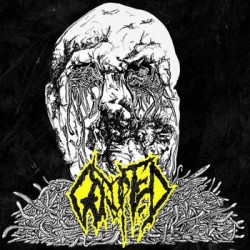 GORUPTED _ Gorupted [Goregrind Brutal Death Metal, Fra]_ CD Jewel Case