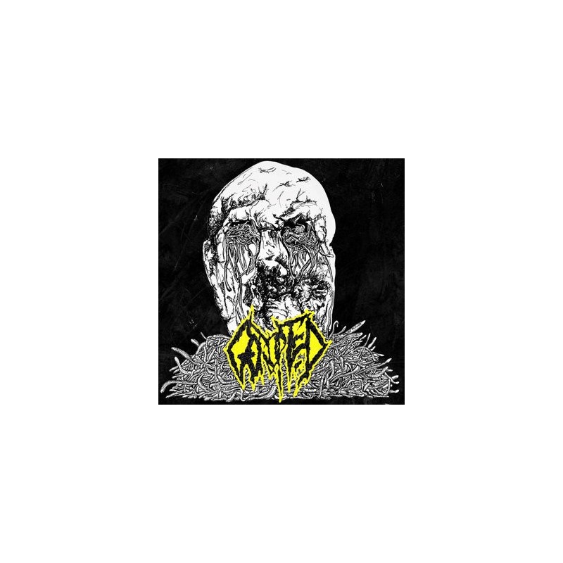 GORUPTED _ Gorupted [Goregrind Brutal Death Metal, Fra]_ CD Jewel Case