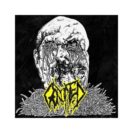 GORUPTED _ Gorupted [Goregrind Brutal Death Metal, Fra]_ CD Jewel Case