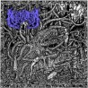 MULYFICATION _ Swamped In Forlorn Misery [Death Metal, Ukr] _ CD Jewel Case