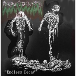 REPUTDEATH _ Endless Decay [Death Metal, Mal] _ CD Jewel Case