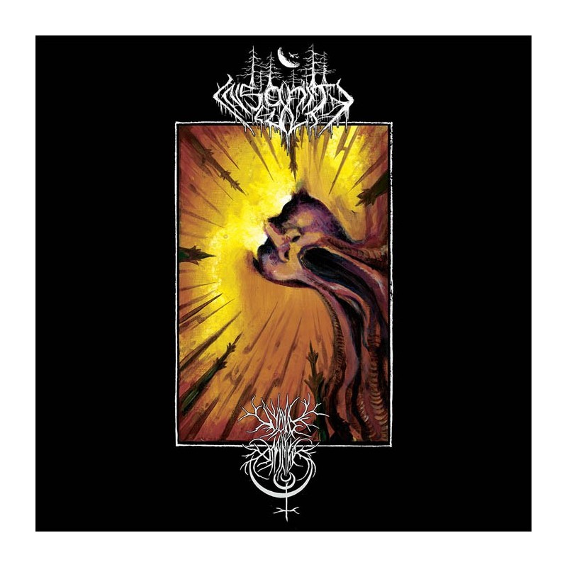 INSANITY CULT / VOID OMNIA _ Contemplation In Discordance [Black Metal, Grè/USA] _ LP