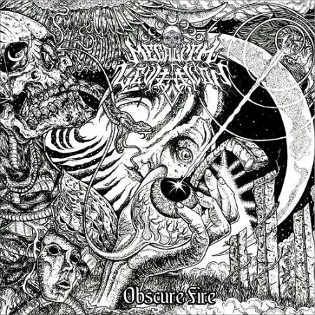 MEGALITH LEVITATION _ Obscure Fire [Stoner Doom Metal, Rus] _ CDDIGI